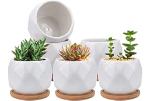 Jucoan 6 Pack Ceramic Succulent Planter Pot with Bamboo Tray, 10 cm Small White Diamond Shaped Cactus Herb Flowers Planter with Drainage Hole