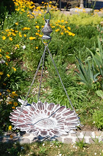 Vogeltränke zum hängen Futterstelle aus Eisen für Vögel mit 2 Vögeln Braun Wasserschale Rostfarben - 6