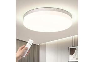 EASY EAGLE Dimbar LED-taklampa, 3 000–6 500 K, vattentät taklampa, 48 W, 4 800 lm, inomhusbelysning med fjärrkontroll för var