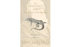 Reptiles - Part V - The Zoology of the Voyage of H.M.S Beagle; Under the Command of Captain Fitzroy - During the Years 1832 to 1836: 5