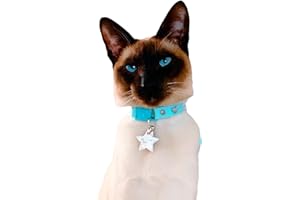 Kittyrama Reflective Charm. Safety Tag for Cats. Lightweight, High Visibility, Waterproof. Fits All Reflective Collars. Other Styles Available