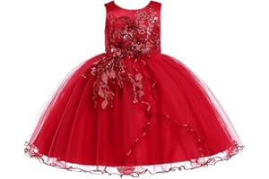 Lenefu Flower Girl Dress Toddler Formal Dress Birthday Party Wedding Floral Embroidered Tulle Satin Dresses for Kids 2-12Y