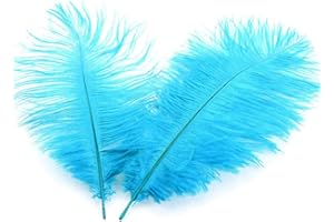 DUORIES 10 piume di struzzo naturali, 20-25 cm, per fai da te, per acchiappasogni, accessori fai da te, decorazione per la casa, costumi, decorazione da tavolo, matrimoni, feste, cappelli, vestiti, colore blu