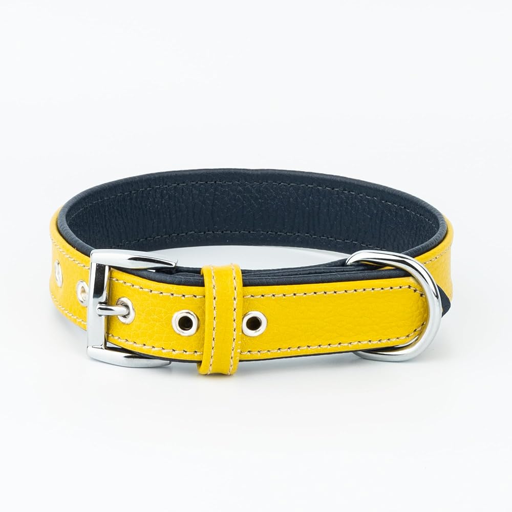 Canini Collar Hakiki Flotter Deri Köpek Tasması, Çift Katlı Deri, Ultra Dayanıklı Tasma (Sarı-Lacivert, XXS)