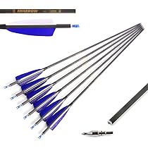 12 Stück Carbonpfeile 30 Zoll Spine 400 - Bogenpfeile Mit Broadhead Für Compound & Recurve