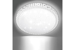Litglobe LED Ceiling Light,48W 4800LM Flush Ceiling Light,6500K Daylight White Ceiling Lights,Ø48cm Round Ceiling Lighting,Modern LED Ceiling Lights for Living Room Bedroom Kitchen Porch Office