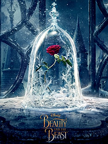 Beauty and the Beast Movie Belleza y la Bestia película Enchanted Rose 60 x 80 cm Lienzo impresión