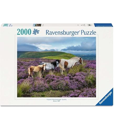 Puzzle 2000 Pièces MB Puzzle - Thème Perroquet/art - Occasion, Complet
