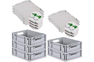 PROREGAL SuperSparSet 5x Eurobox NextGen Economy mit Scharnierdeckel & grünen Verschlüssen | Griffe offen | HxBxT 12x30x40cm | 11 Liter | Eurobehälter Transportbox Transportbehälter Stapelbehälter