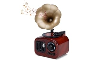 ZLLkeji Carillon Musicale Altoparlante per Elise Regali di Natale e di Compleanno per Ragazze e Donne la Decorazione della casa