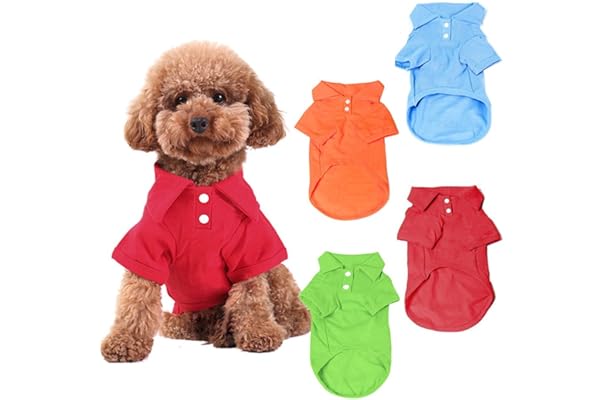 dog clothes on amazon