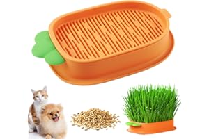 SUEVUT Hydrokultur-Gras-Tablett Katzengras Keimschale, Katzengraskasten-Gratis 5 Packungen Katzengras, Pflanzer Hydroponics Seed Sprouter, Soil-Free Seed Sprouter
