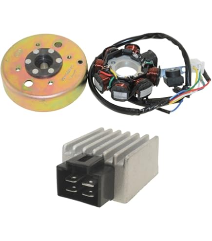 Lichtmaschine Variante 3 Für CPI Motowell TNG ATU Keeway Generic Explorer Mawi