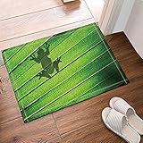 CDHBH - Alfombrilla de baño de 40 x 60 cm, diseño de Rana sentada en una Palma,...