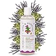 Tots & Bubbles Gentle Tear Free Baby Shampoo with Natural Lavender & Cardamom Oil -300ml | Strengthens Hair & Helps to Soothes Dry Scalp | Dermatologically Tested & pH Balanced | No Artificial Fragrance