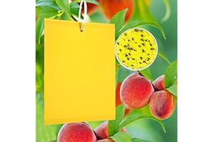 Panngu 50 Stück Gelbtafeln Fliegenfänger Sticker, Gelbstecker Gegen Kirschfruchtfliege, Perfekt Gegen Ungeziefer in Ihrem Garten – Gegen Trauermücken, Blattläuse, Minierfliegen und weiße Fliegen