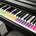 Produktbild Klaviertastatur-Aufkleber, Musik Klaviertastatur-Aufkleber, schwarz und weiß, Tastennoten-Aufkleber 51/61/88 Tasten, Klaviertastatur, Sound-Aufkleber, Tastatur-Aufkleber, Anfänger-Notizen 19×12.4 cm Chinese