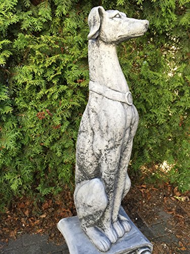 Steinfigur Gartenfigur Dekohund Greyhound Figur Hund Windhund Statue 76,8 Höhe