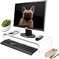 Clear Acrylic Computer Monitor Stand Holder, Heavy Duty Ergonomic Monitor Riser for Office Home Desktop Corner, Free Standing Lucite Monitor Stands for Laptop Screen Tablet TV Lcd, Desk Riser Leg Lift
