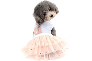 Zunea - Vestiti per cani di piccola taglia, gonna estiva, per cani e bambine, in morbido cotone, maglietta a forma di coniglio, con stampa tutù, per animali domestici, gatti, taglia M, colore: Bianco