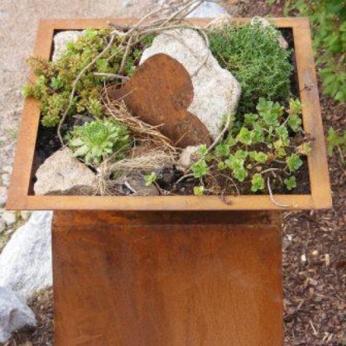 Rost Metall Pflanzschale auf Kugeln, eckige beflanzbare Rost Schale eckig für Ihre Garten Dekoration, Edelrost - 3