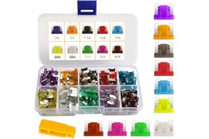 Gebildet 100 PCS 12V-24V Basse Profil Fusibles Mécaniques de Voiture pour Véhicule Auto Moto Bateau Camion, Assortiment Voiture Fusible à Lame Small, 3A 5A 7.5A 10A 15A 20A 25A 30A 35A 40A