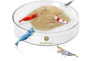 SUNGROW Tough Borosilicate Glass Shrimp Feed Dish, Never Run out Of Food for Shrimps, Prevent Food Spilling, Heavy-Duty, Transparent Basin, for Shrimp Food or Fish’s Tubifex Worms