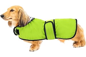 Geyecete - Imperméable Veste pour Chien Teckel, réglable et légère Manteau avec Sangles réfléchissantes et Trou pour Harnais,Vêtement pour Petit Moyen Gros Chiens-Vert-S
