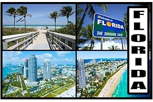 MILLHOUSE PRINTS Florida - USA Post Card Style Fridge Magnet - Large Size (7cm x 4.5cm) - Gift Idea - Tourism