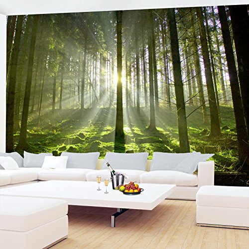 Fototapete Wald 396 x 280 cm – Vliestapete – Wandtapete – Vlies Phototapete – Wand – Wandbilder XXL – !!! 100% MADE IN GERMANY !!! Runa Tapete 9037012c … - 4