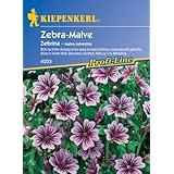Sperli Blumensamen Malve Zebrina, grün