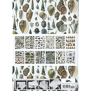 Natural History #72: Gift & Creative Paper Book (Gift & Creative Papers Vol 72)