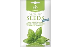 Basilic à larges feuilles, Graines certifiées biologiques prêt à Pousser Minigarden, 100% Naturelles sans Propagateurs Chimiques ni Génie Génétique, inclut entre 1750 et 2250 graines