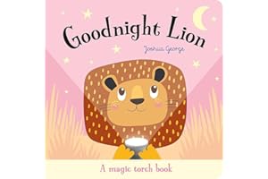 Goodnight Lion (Magic Torch Books)