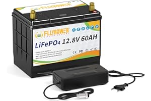 TCBWORTH 12V 60AH Lifepo4 Batterie au Lithium avec cellules Grade A BMS Parfait pour trolling Moteur Panneau Solaire RV Camping Golf Chariot appareils ménagers