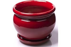 ALFAREROS DAMIAN CANOVAS Maceta DE Barro ESMALTADA Rojo con Plato Modelo CARPIN Medidas 22 x 16