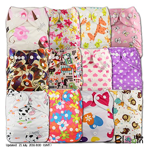 LittleBloom, Reusable Pocket Cloth Nappy, Fastener: Popper, Set of 12, Patterns 1207, With 12 Microfibre and 12 Bamboo Inserts, (see "Special Offers and Product Promotions" for Special Offers Detail)