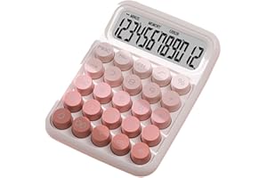 Ronyme Calculatrice à Interrupteur mécanique Portable, dégradé de Couleur, ergonomie, écran LCD 16x11.5cm pour Le calcul numérique de Base, Durable, Dégradé Rose