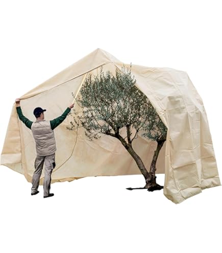Winterbescherming voor planten 100 x 120 cm, Beige, set van 2 | 71655800