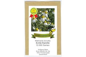 EXOTIC-SAMEN Echte Kamille - Bienenweide - Matricaria recrutita - 10.000 Samen