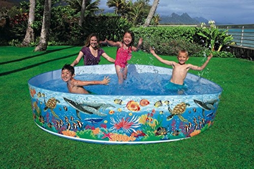 Intex 58472NP – Snap-Set Coral Reef Pool, Durchmesser 244 x 46 cm - 2