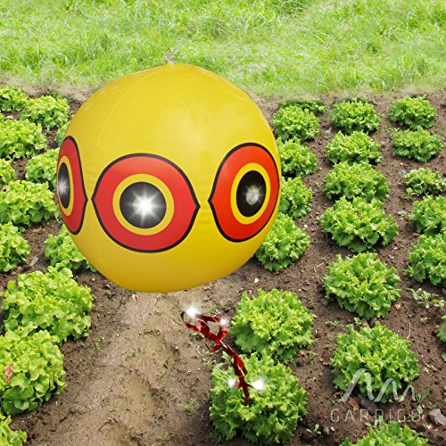Gardigo Vogelfrei Ballon 2er Set, Vogelscheuche, Vogelschreck, Vogelabwehr - 4