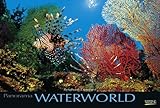 Image de Waterworld 2011. PhotoArt Panorama