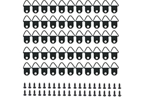 RUIDEE Ruide 100 Stück Bilderrahmen Haken SeDreieck Ringrahmen Bild Aufhänger mit Schrauben für Haus Büro Foto Bild Malerei Hängen (Schwarz/XKSJ)