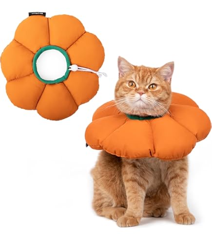 AvoDovA Collier De Rcupration De Chat, Collier De Protection Pour Animal De Compagnie, Collier De Rcupration Confortable Collerette De Protection Pour Chiens Chats Après La Chirurgie (S