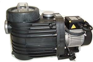 13 m³ Speck Badu Bettar 12 POOLPUMPE PUMPE