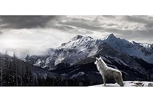 DEMIAWAKINGUK Montagna di Neve e Lupo DIY Diamond Painting 5d Grandi Dimensioni Diamond Painting Kit Completo Paesaggi Pittura Diamante 5D Fai da Te Decorazione Regalo 80x40cm