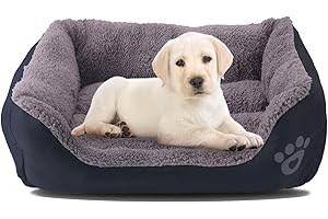 Lohofrnny Cama para Perros, Cuadrado para Cama de Pequeño, Lavable, Cama para Perros de Felpa Súper Suave y Acogedora, Sofá para Perros o Gatos pequeños Medianos (M, Negro)