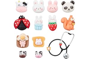OLYCRAFT 12 Pezzi Ciondolo Stetoscopio ID Targhetta Nominale Accessorio Stetoscopio Per Medico Infermiere Assistente Medico