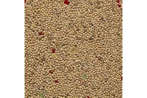 Il Contadino - Antichi Becchimi | MISCUGLIO per PAPPAGALLI e COCORITE | Formula Ricca di Semi Selezionati Adatta per Tutto L'Anno, No OGM, 100% Vegetale, Assenza di scarti. qualità Superiore (1 kg)